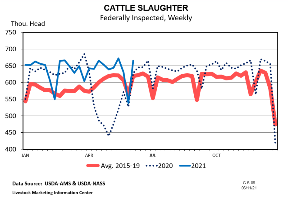 Graph Cattle Slaughter